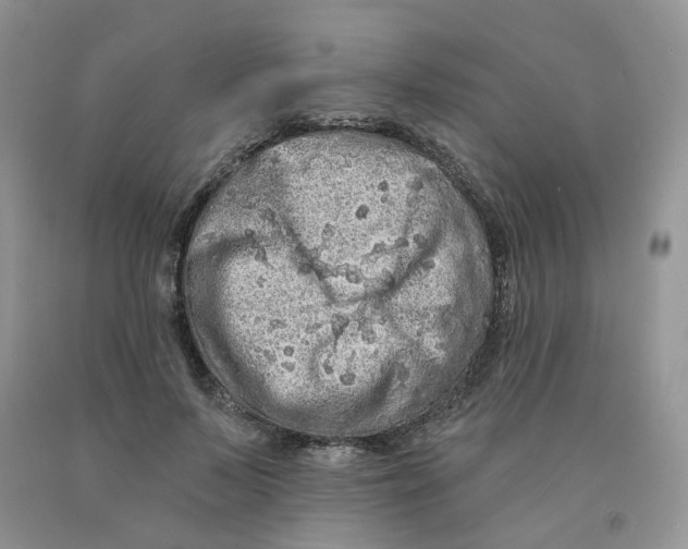 X0000091330695200709071157