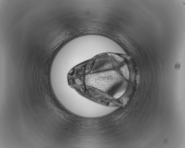 X0000091330696200709071157