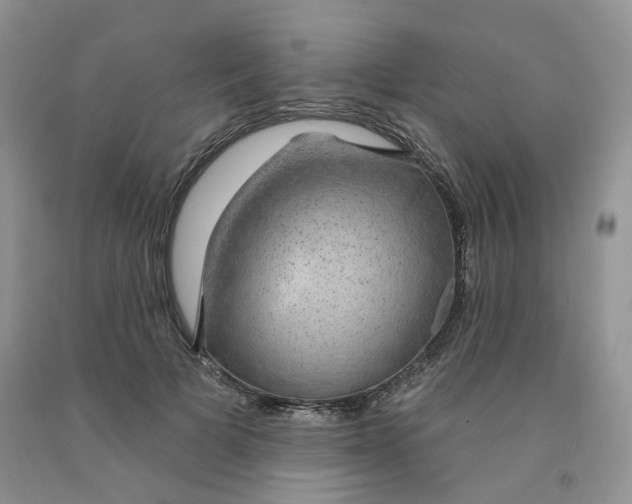 X0000091330697200709071157