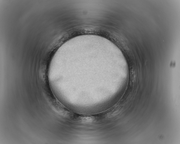X0000091330698200709071157
