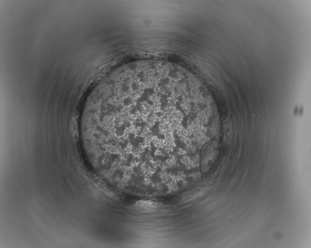 X0000091330699200709071157