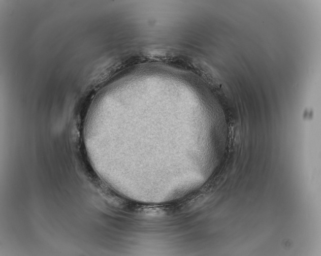 X0000091330702200709071157