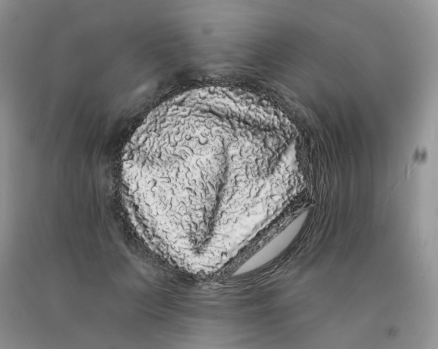 X0000091330703200709071157