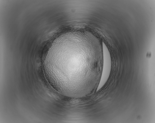 X0000091330704200709071157