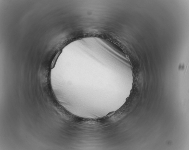 X0000091330708200709071157