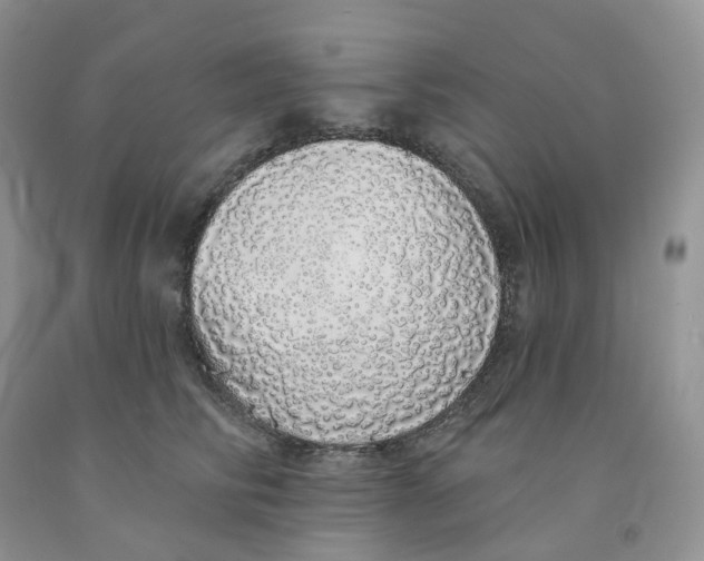 X0000091330710200709071157