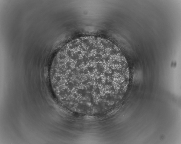 X0000091330711200709071157
