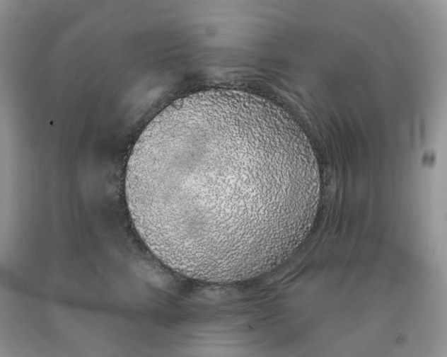 X0000091330712200709071157