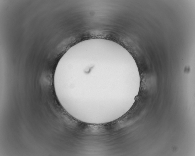 X0000091330713200709071157