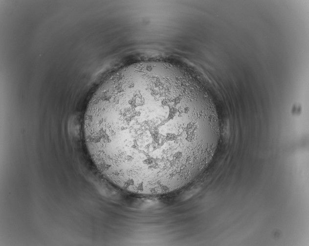 X0000091330715200709071157
