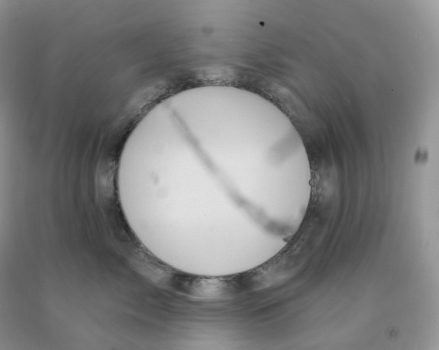 X0000091330717200709071157