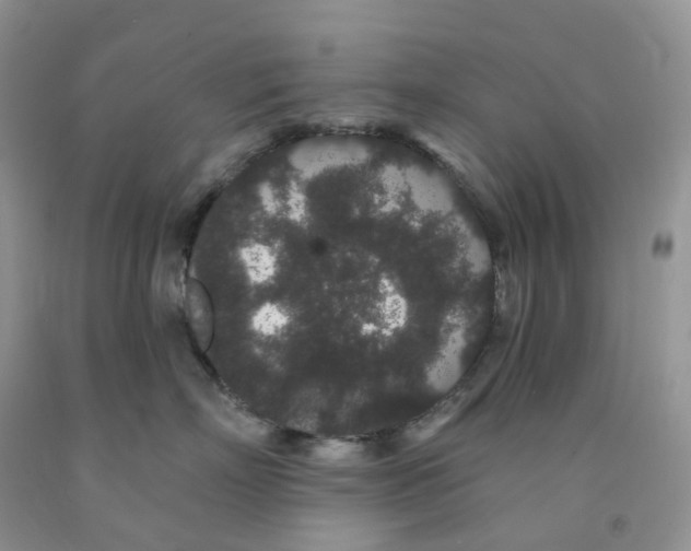 X0000091330718200709071157