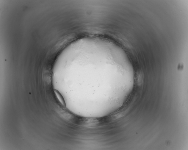 X0000091330719200709071157