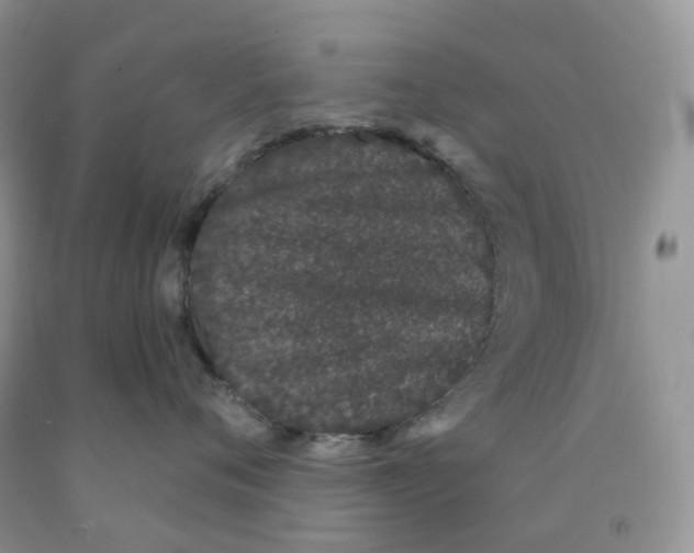 X0000091330720200709071157