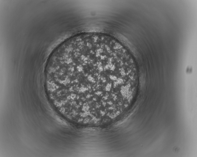 X0000091330721200709071156