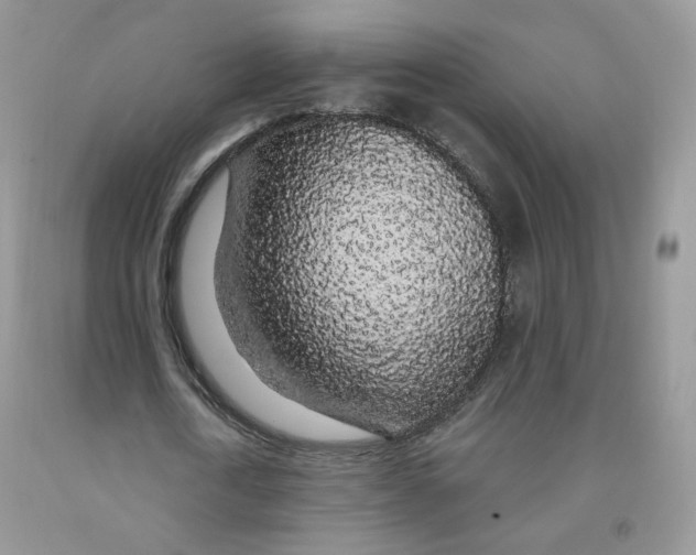 X0000091330722200709071156