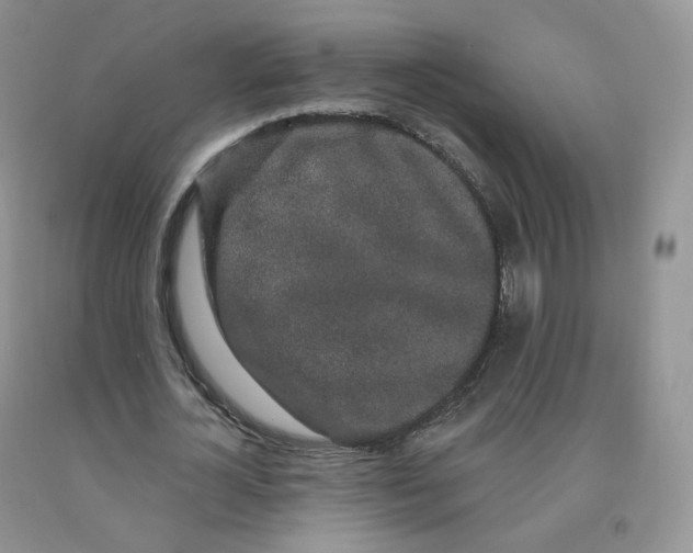 X0000091330724200709071156