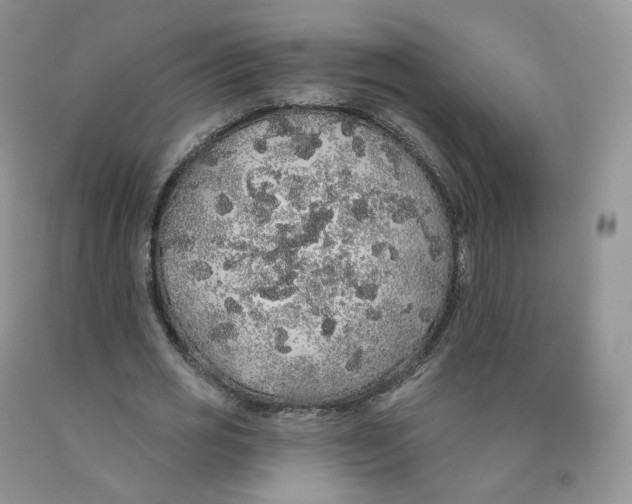 X0000091330725200709071156