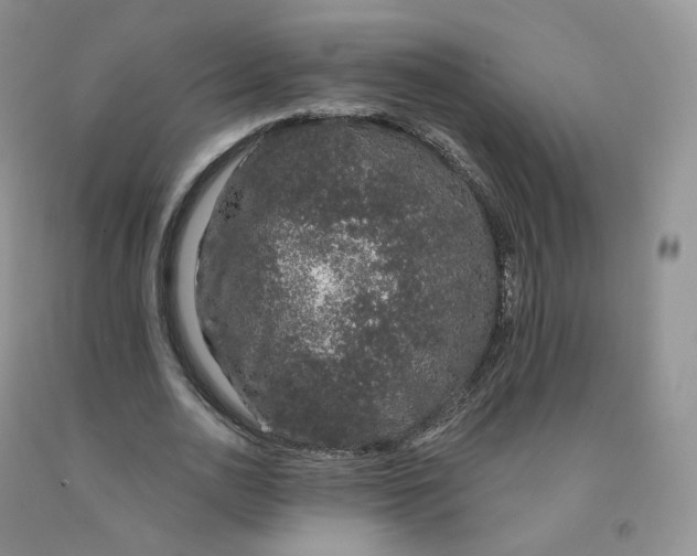 X0000091330726200709071156