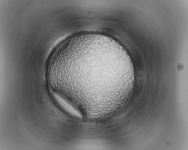 X0000091330727200709071156