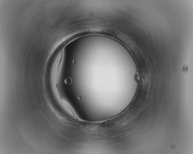 X0000091330728200709071156
