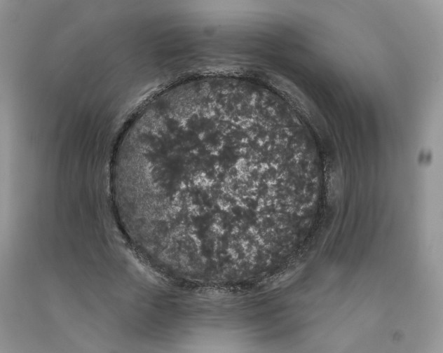 X0000091330729200709071156