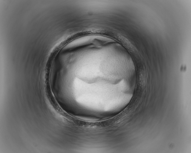 X0000091330730200709071156