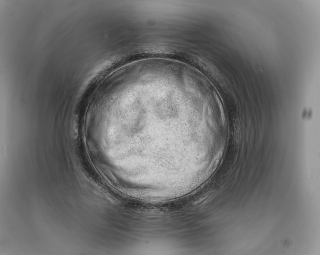 X0000091330731200709071156