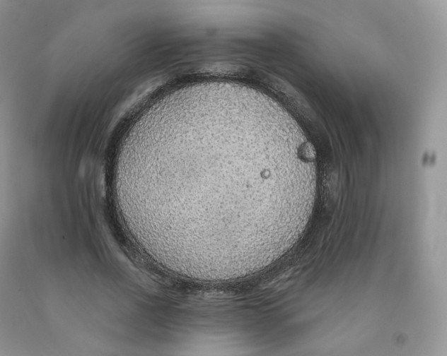 X0000091330734200709071156