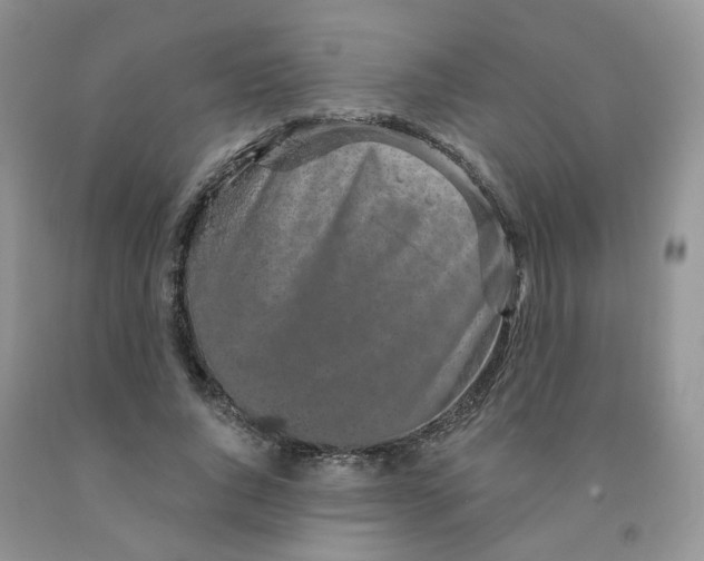 X0000091330736200709071156