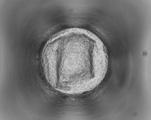X0000091330737200709071156