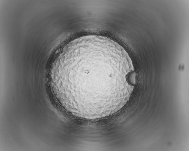 X0000091330738200709071156