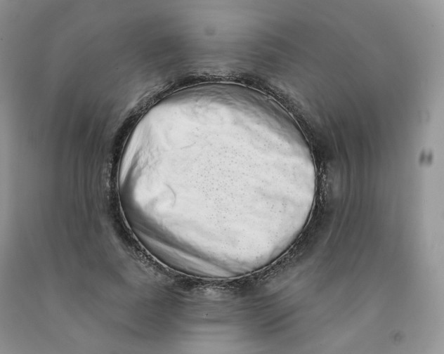 X0000091330739200709071156