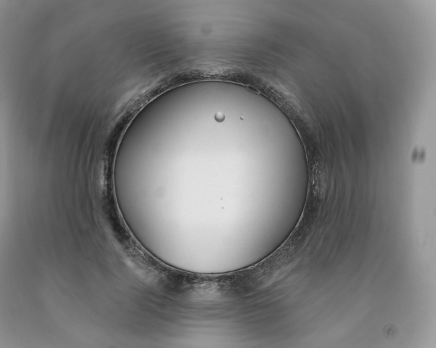 X0000091330740200709071156