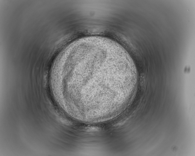 X0000091330741200709071156