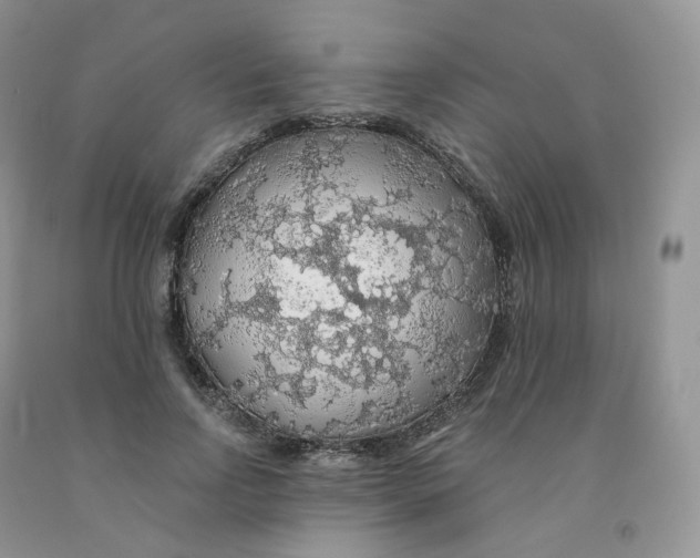 X0000091330742200709071156