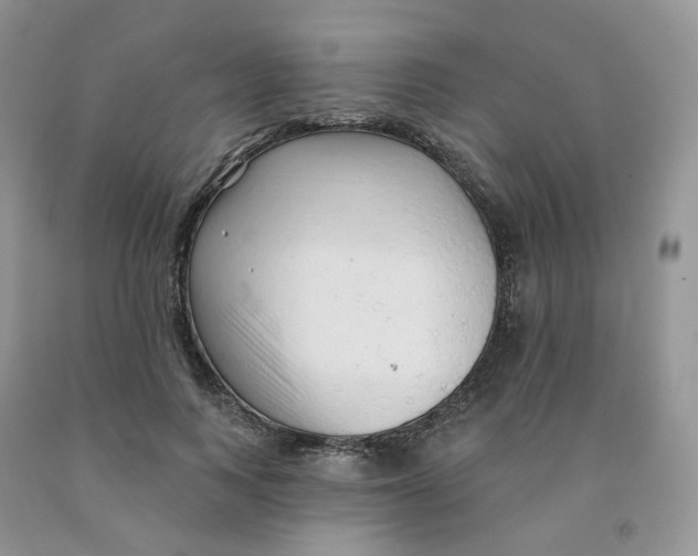 X0000091330743200709071156