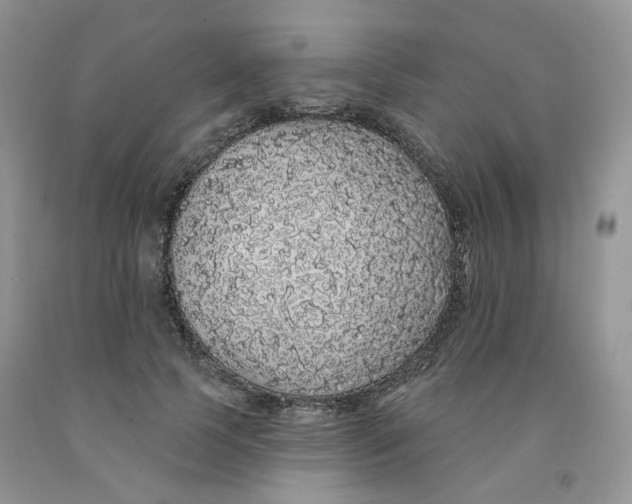 X0000091330745200709071156