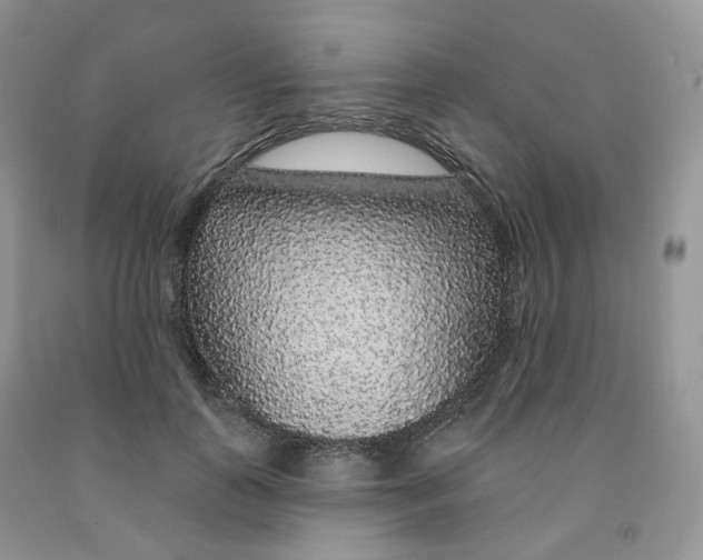 X0000091330747200709071156