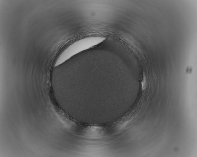 X0000091330748200709071156