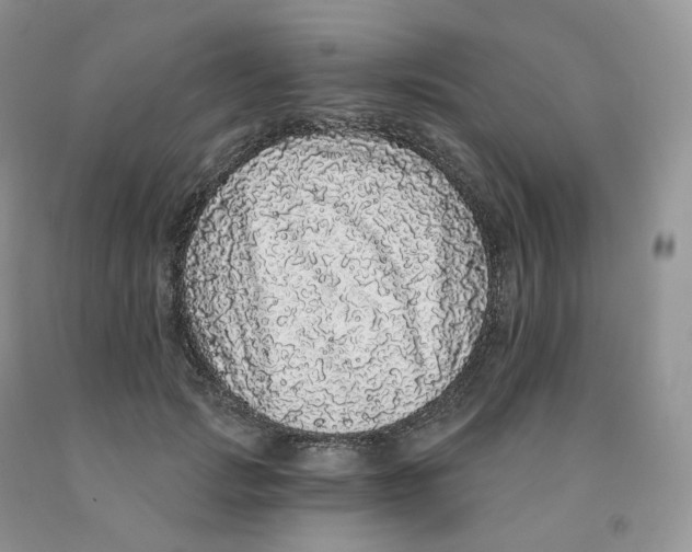 X0000091330749200709071156