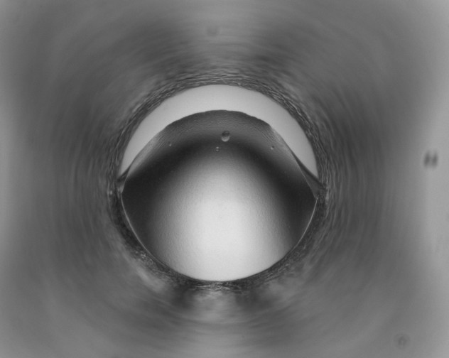X0000091330750200709071156