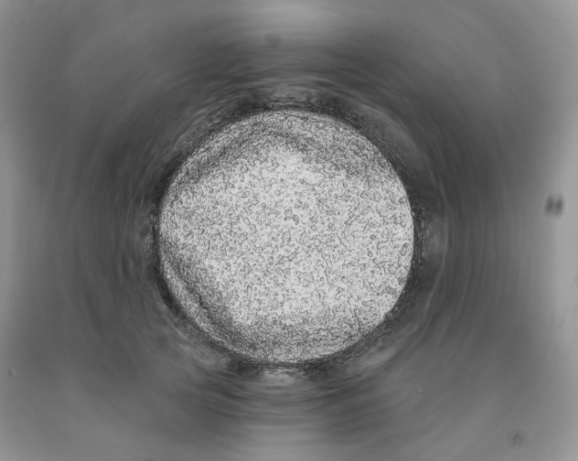 X0000091330753200709071157