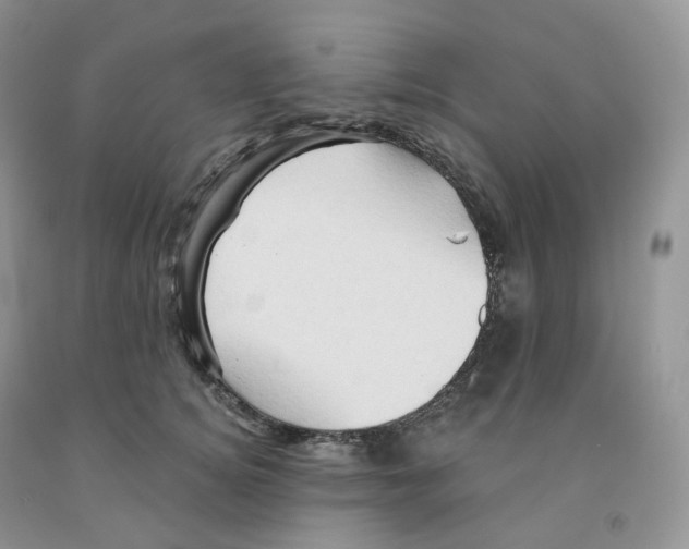 X0000091330756200709071157