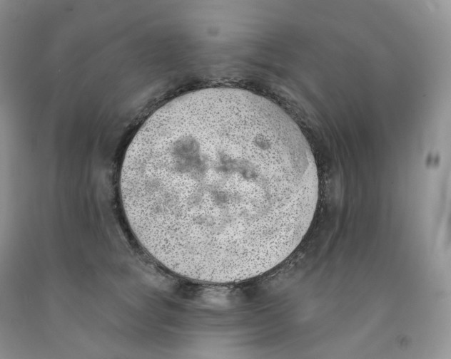 X0000091330757200709071157