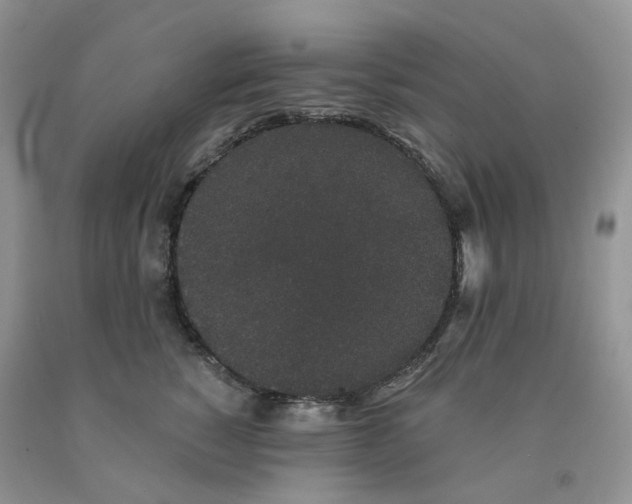 X0000091330760200709071157