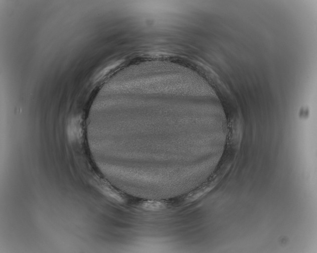 X0000091330762200709071157