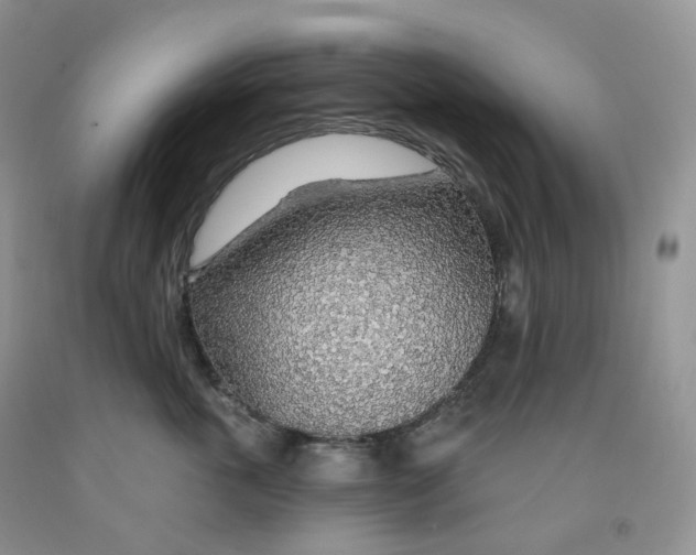 X0000091330763200709071157