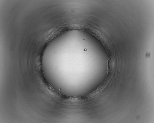 X0000091330764200709071157