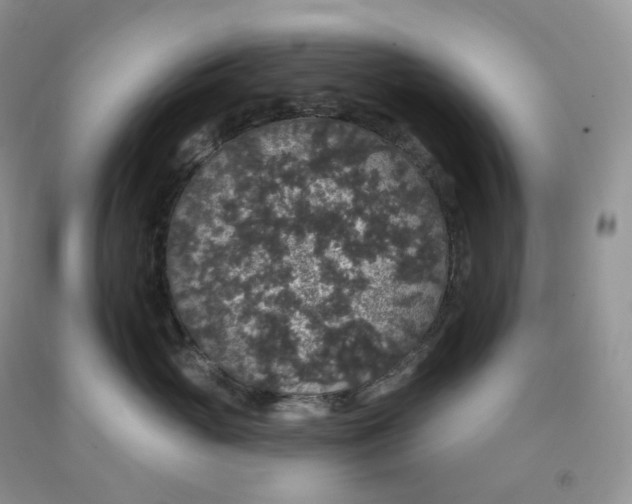 X0000091330765200709071157